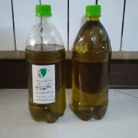 روغن زیتون پرشیا