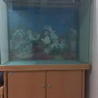 آکواریوم وارداتی