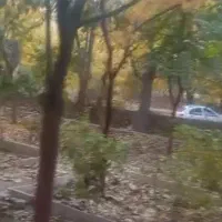 باغ و باغچه ویلایی در فوجرد|فروش خانه و ویلا|قم, گذر قلعه|دیوار