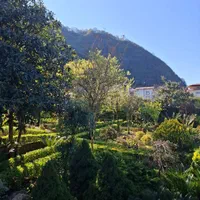 آپارتمان ویلاکوهپایه روبه کوه وجنگل بکر و ویو زیبا|اجارهٔ کوتاهمدت ویلا و باغ|رامسر, |دیوار