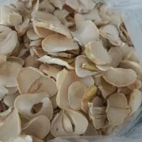 موسیر  خشک کوهی