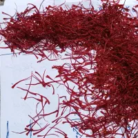 فروش‌زعفران،از‌تولید‌به‌مصرف|خوردنی و آشامیدنی|مشهد, وحید|دیوار
