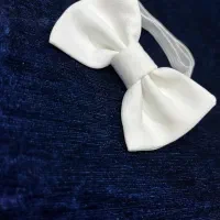 کش و گیره پاپیونی/پاپیون لباس و خرج کار