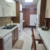 ونک شیخ بهائی ۱۰۰ متر ۲ خوابه