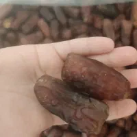 خرما پیارم درجه یک