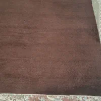 موکت