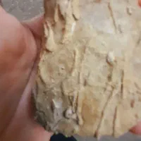 سنگ باستانی|جواهرات|تهران, زعفرانیه|دیوار