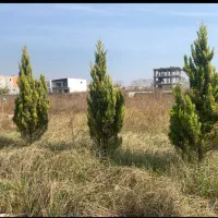 دو قطعه زمین  مسکونی ساحلی