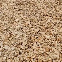 نان خشک نان تافتون و بربری