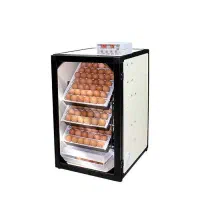 فروش دستگاه جوجه کشی۱۶۸تایی اسکندری اقساط|لوازم جانبی حیوانات|بندر انزلی, پیل علی باغ|دیوار