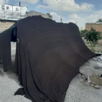 دو عدد سیاه چادر عشایری|کوهنوردی و کمپینگ|ازنا, |دیوار