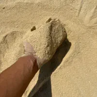 تولید و توزیع گوگرد معدنی گرانول و پودری زر کود|خدمات باغبانی و درختکاری|تهران, سعیدآباد|دیوار