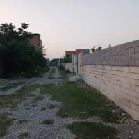 زمین داخل بافت ۵۰۰ متر بهترین گزینه ساخت ویلا|فروش زمین و ملک کلنگی|قائم‌شهر, |دیوار