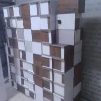 لونه پرنده عروس هلندی طوطی برزیلی طوطی..