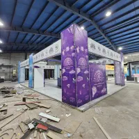 اسپیس فریم و استیج هلندی