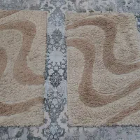 دوتا پادری