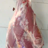 گوشت گوساله 790