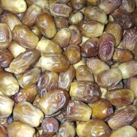 فروش خرمای زاهدی(قصب)|خوردنی و آشامیدنی|افزر, |دیوار