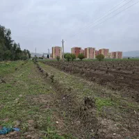 کارگر جهت اسپار جوب
