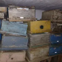 کندوی زنبور فروشی تازه ساخت یکساله ودوساله