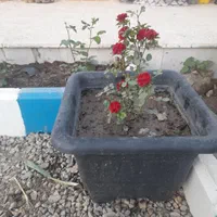 اجاره ساعتی روزانه سوئیت|اجارهٔ کوتاه‌مدت آپارتمان و سوئیت|نظرآباد, شهرک صنعتی سپهر|دیوار