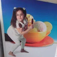 فریزر موتور آلمانی