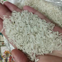 برنج طارم هاشمی دونوج