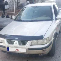 سمند خونگی