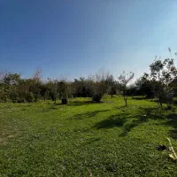 زمین مسکونی