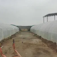 سازه گلخانه|مصالح و تجهیزات ساختمان|مشهد, چهاربرج|دیوار