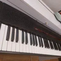 پیانو|پیانو، کیبورد، آکاردئون|شیراز, معالی‌آباد|دیوار