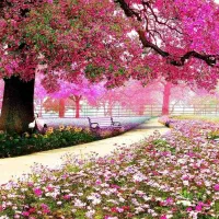 نظافت ساختمان و منزل