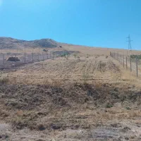 فروش-زمین-کشاورزی