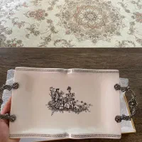 ظروف پذیرایی