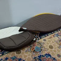 کریر نو زاهدان|کالسکه و لوازم جانبی|زاهدان, |دیوار