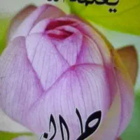 وسیله