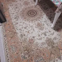 فرش ۶متری ماشینی|فرش|همدان, |دیوار