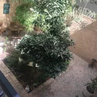 محیط نمایشگاهی|اجارهٔ کوتاهمدت دفتر کار و فضای آموزشی|یزد, |دیوار