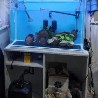 اکوریوم با فیلتر سطلی