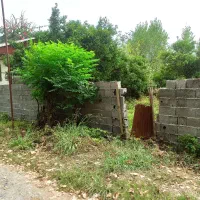 زمین 212متری پستک تک برگ سند