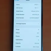 آیفون 12 پرو|موبایل|جوانرود, |دیوار