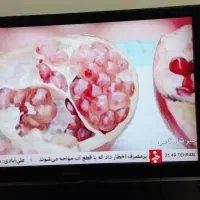 تلویزیون ال سی دی 42 اینچ|تلویزیون و پروژکتور|میانه, |دیوار