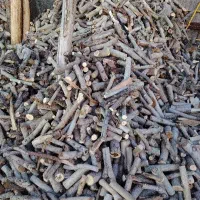 مرکز هیزم اصفهان انجیر چنار بادام انار گردو توت