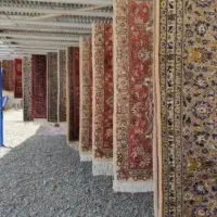 کارگر ساده جهت جمع و پخش فرش