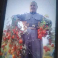 نیروی کارکشاورزی