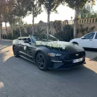 اجاره ماشین عروس(ازدواج آسان)