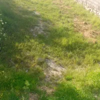 باغ-صومعه