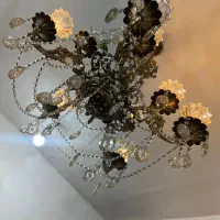 لوستر سلطنطی ۲عدد|لوستر و چراغ آویز|باوی, |دیوار