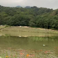 سوئیت ویلایی|اجارهٔ کوتاهمدت آپارتمان و سوئیت|گلوگاه, |دیوار