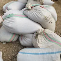 شلتوک با دنان|حیوانات مزرعه|حمیدیه, |دیوار